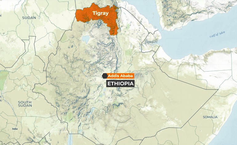 Statement on the Current Situation in Ethiopia: Ethiopia diplomat quits US post