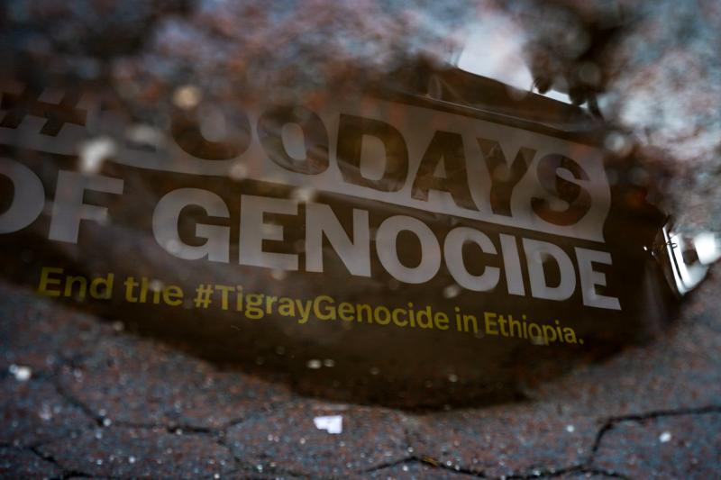 Ethiopia’s Perilous Propaganda War
