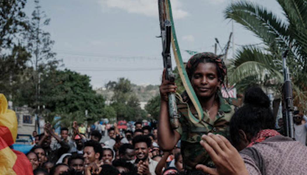 Who Are the Tigray Defense Forces (TDF)?
