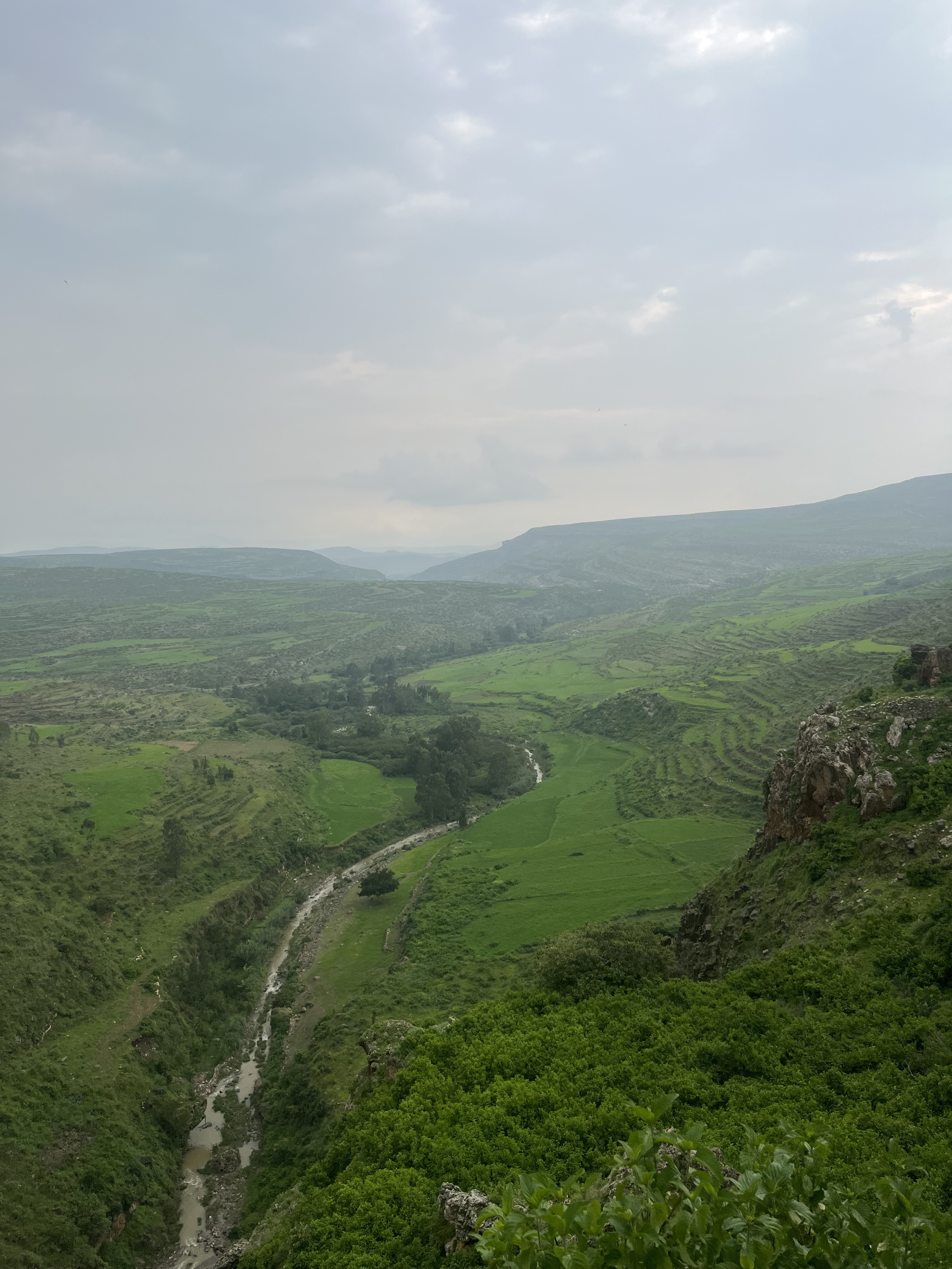 Between Two Wars: A Tigrayan Survivor’s Testimony